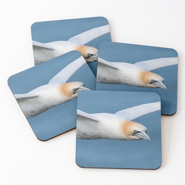 Item preview, Gannet designed and sold by MTPhotos1406.
