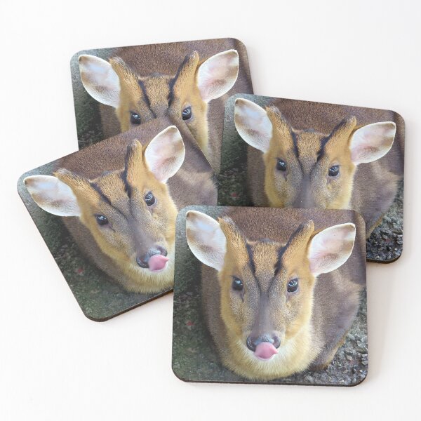 Item preview, Muntjac Deer Face Licking Nose Close-up designed and sold by Linda Walsh.