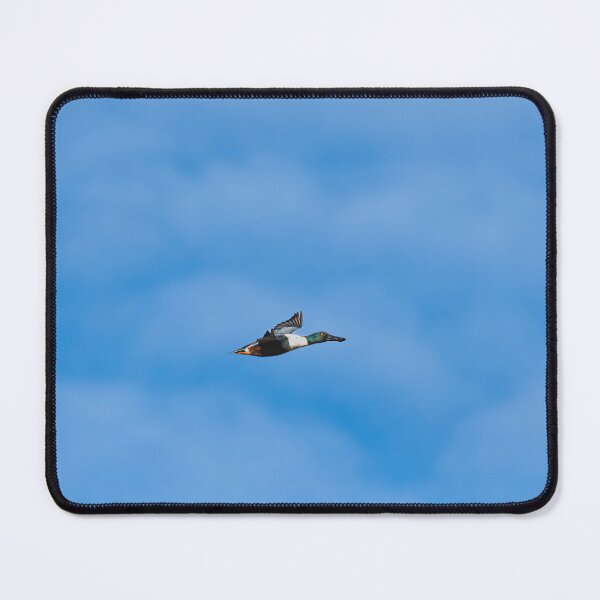 Item preview, Shovler Duck designed and sold by MTPhotos1406.