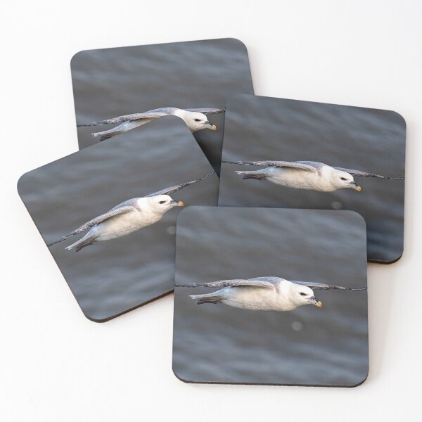 Item preview, Fulmar designed and sold by MTPhotos1406.