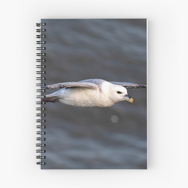 Item preview, Fulmar designed and sold by MTPhotos1406.