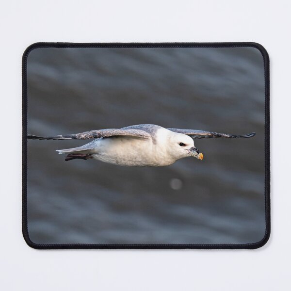 Item preview, Fulmar designed and sold by MTPhotos1406.