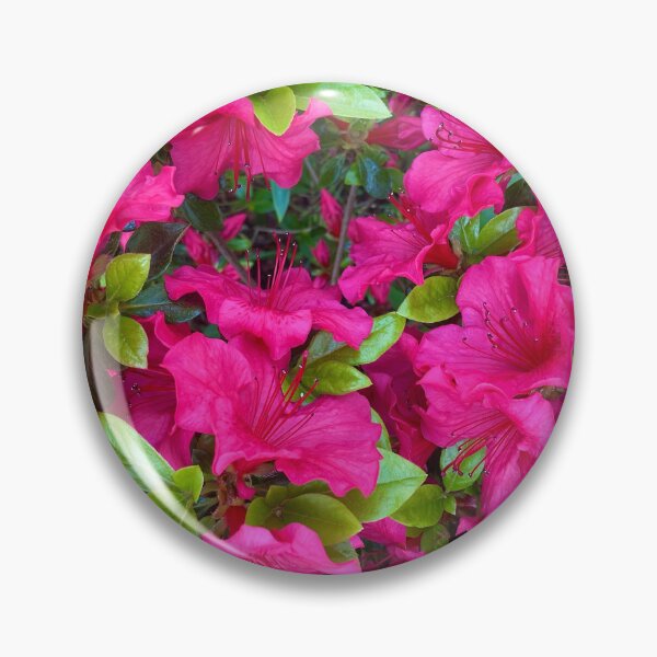 Item preview, Pink Azaleas  designed and sold by Amanda1775.