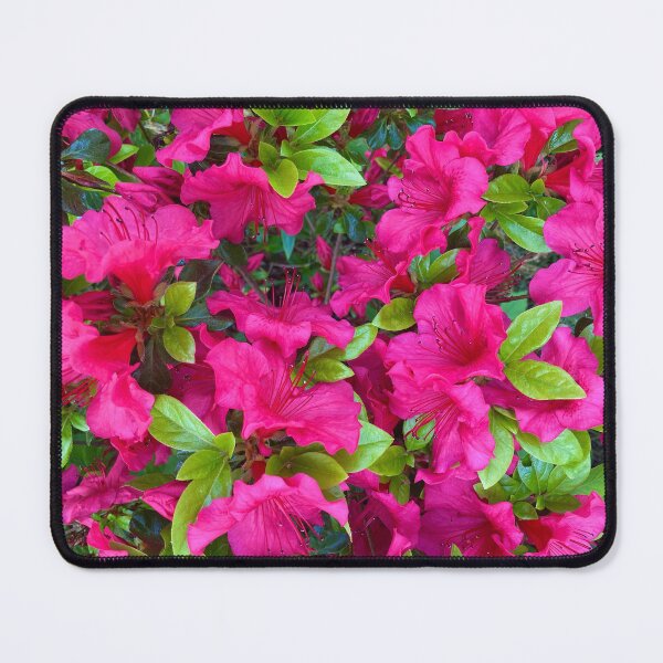 Item preview, Pink Azaleas  designed and sold by Amanda1775.
