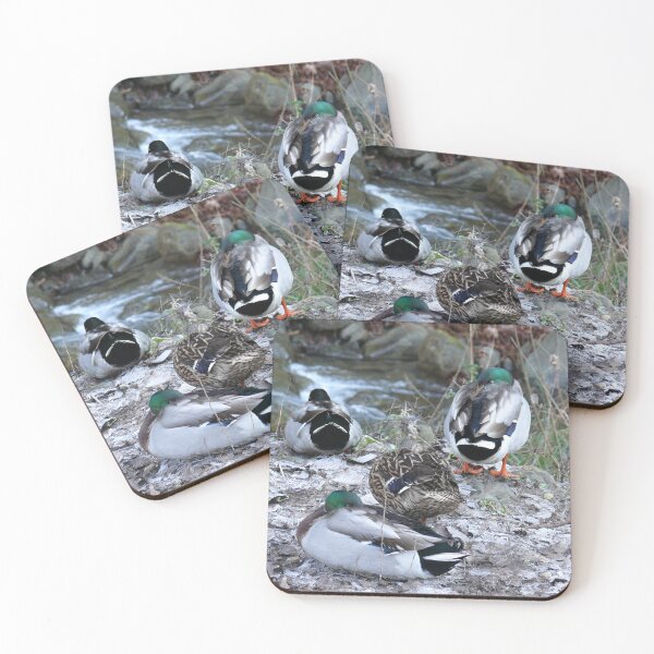 Item preview, duck bath designed and sold by bertipictures.