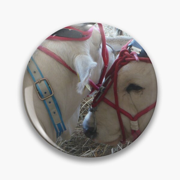 Item preview, cow love affair designed and sold by bertipictures.