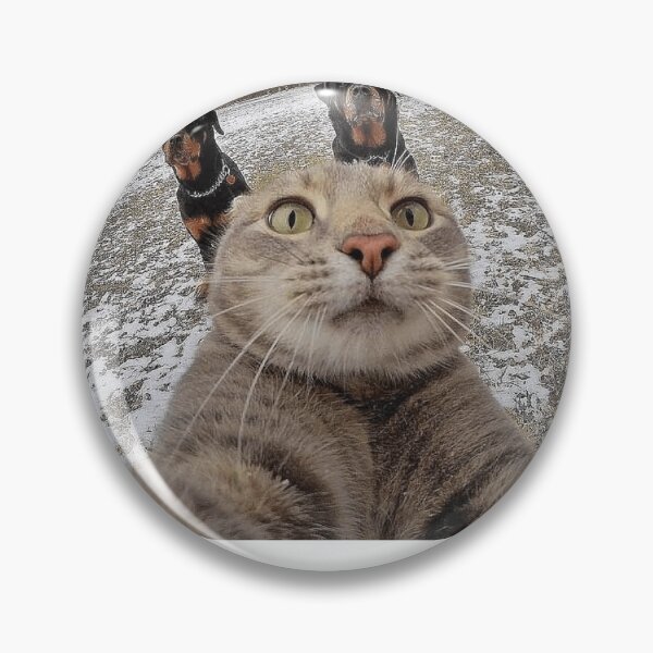 Item preview, Selfie of a cat, because there is always time for a selfie. designed and sold by melissamaduka.