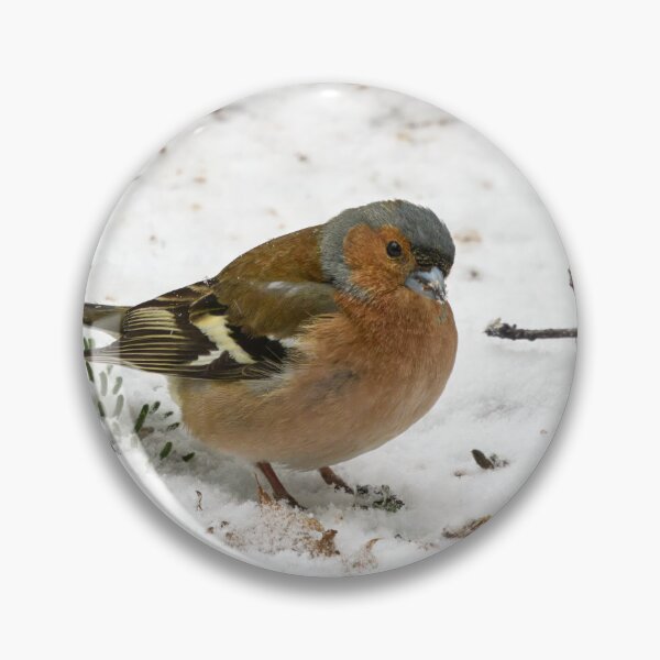 Item preview, Snow snow snow. Eurasian chaffinch designed and sold by Jouko Lehto Photography.