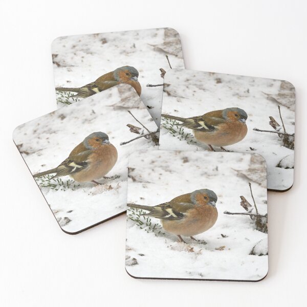 Item preview, Snow snow snow. Eurasian chaffinch designed and sold by Jouko Lehto Photography.