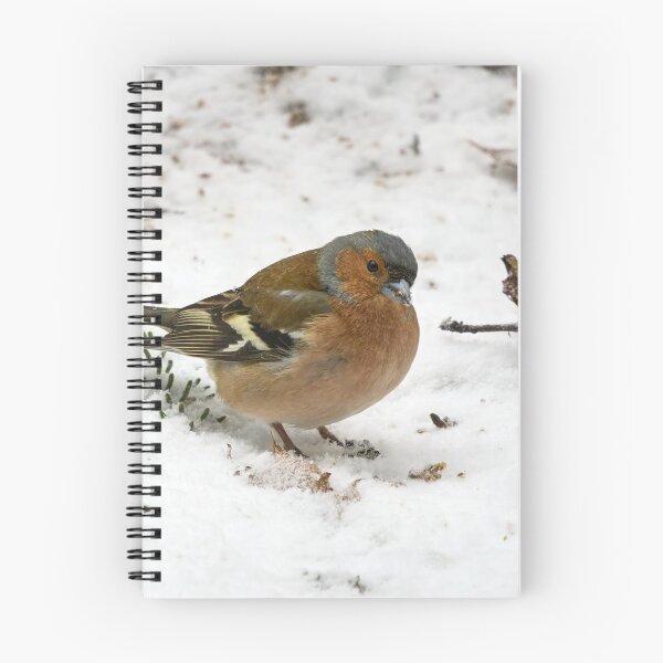 Item preview, Snow snow snow. Eurasian chaffinch designed and sold by Jouko Lehto Photography.