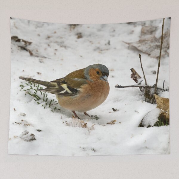 Item preview, Snow snow snow. Eurasian chaffinch designed and sold by Jouko Lehto Photography.