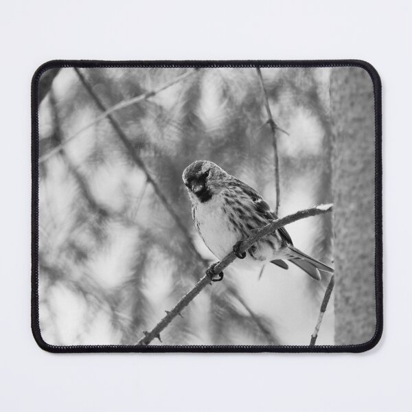 Item preview, Light greens and Mealy redpoll bw designed and sold by Jouko Lehto Photography.