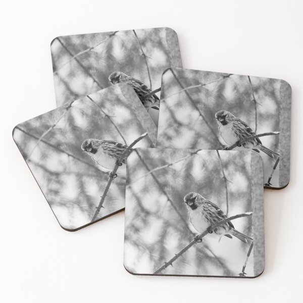 Item preview, Light greens and Mealy redpoll bw designed and sold by Jouko Lehto Photography.