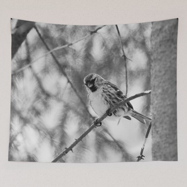 Item preview, Light greens and Mealy redpoll bw designed and sold by Jouko Lehto Photography.