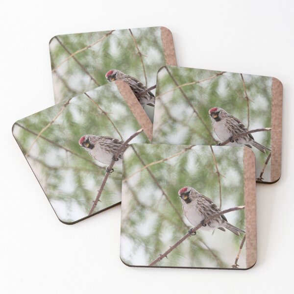 Item preview, Light greens and Mealy redpoll designed and sold by Jouko Lehto Photography.
