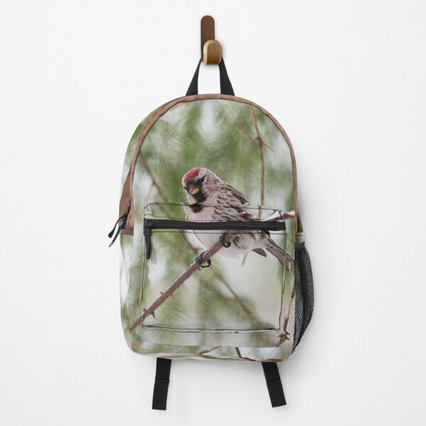 Item preview, Light greens and Mealy redpoll designed and sold by Jouko Lehto Photography.