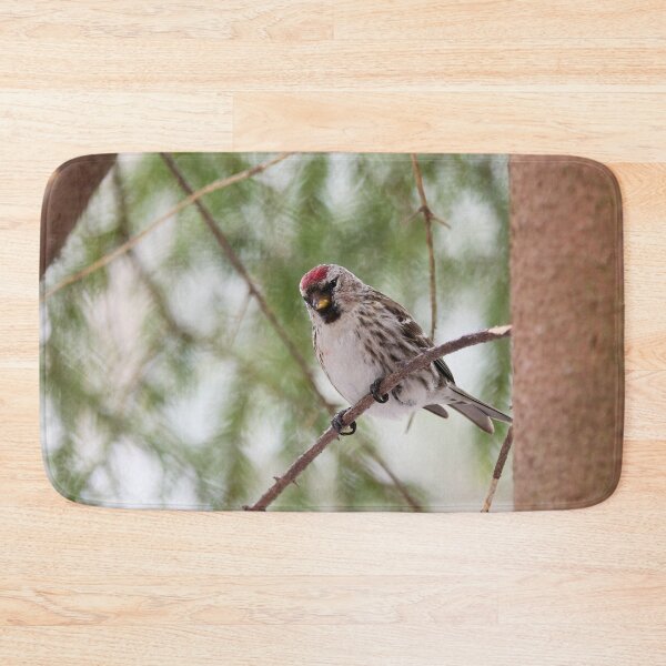 Item preview, Light greens and Mealy redpoll designed and sold by Jouko Lehto Photography.