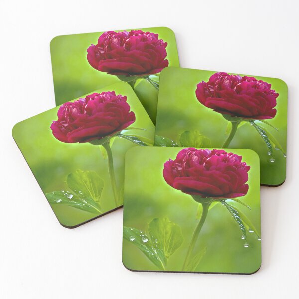 Item preview, Peony Rose designed and sold by Tom McPherson Photography.