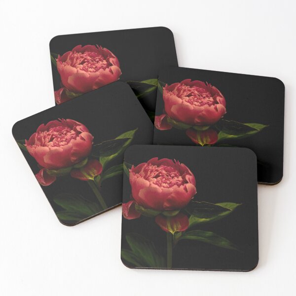 Item preview, A ‘peony rose’ designed and sold by Tom McPherson Photography.