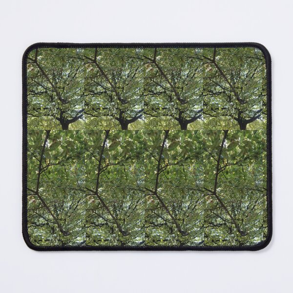 Item preview, leaves of trees designed and sold by Stefrait-7.