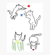 Lámina fotográfica Gatos juguetones de primavera