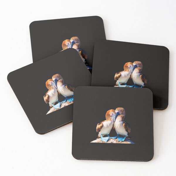 Item preview, Heartfelt Embrace: Blue Footed Boobies In Love designed and sold by elynne9.