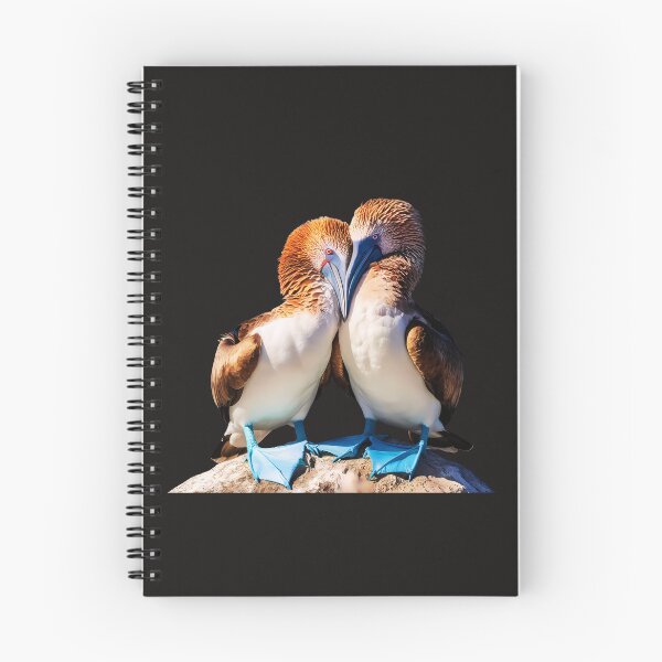 Item preview, Heartfelt Embrace: Blue Footed Boobies In Love designed and sold by elynne9.