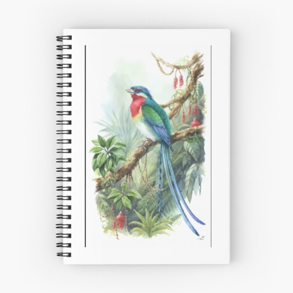 Item preview, Birds of the World designed and sold by PatronesKawai.