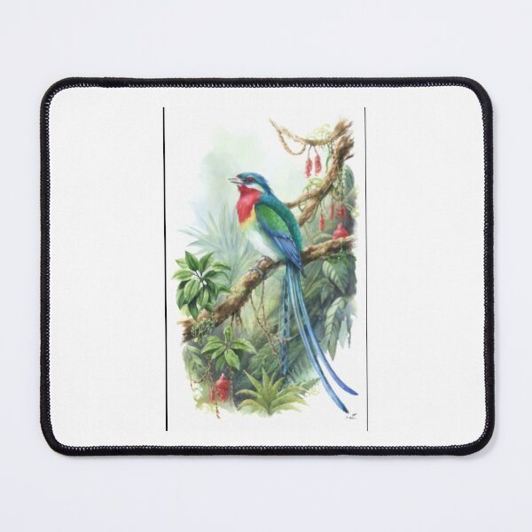 Item preview, Birds of the World designed and sold by PatronesKawai.