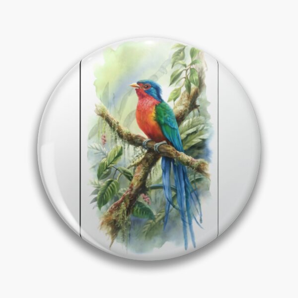 Item preview, Birds of the World designed and sold by PatronesKawai.