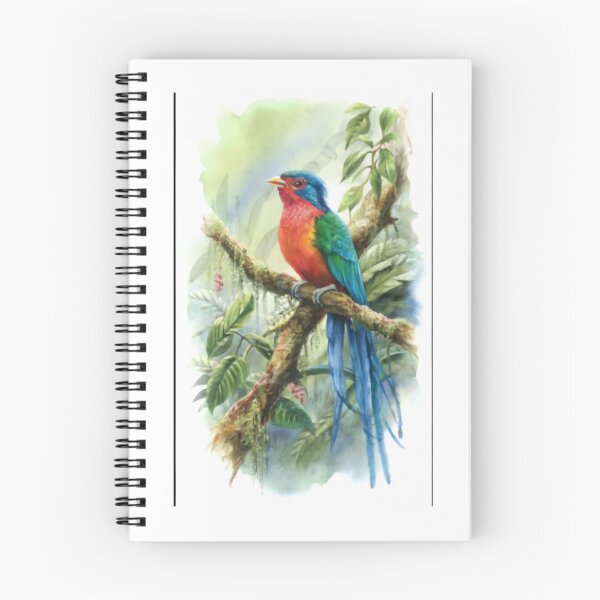 Item preview, Birds of the World designed and sold by PatronesKawai.