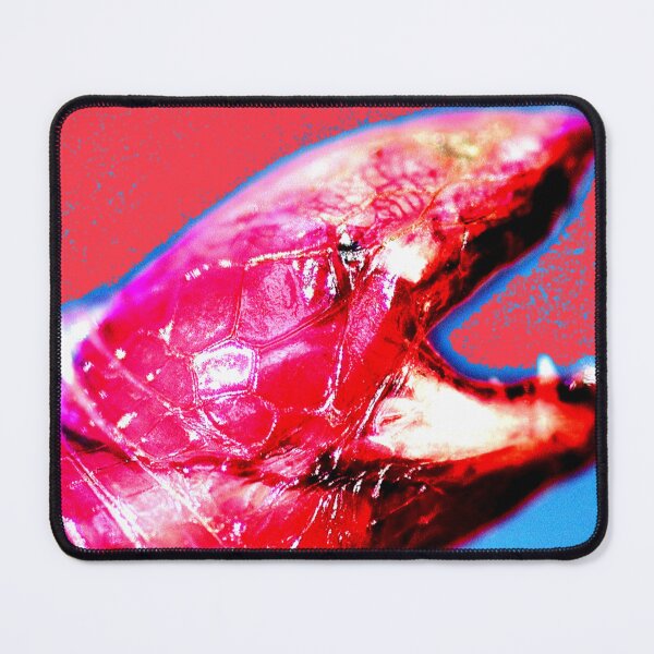 Item preview, Floridian Worm Lizard designed and sold by ontological.