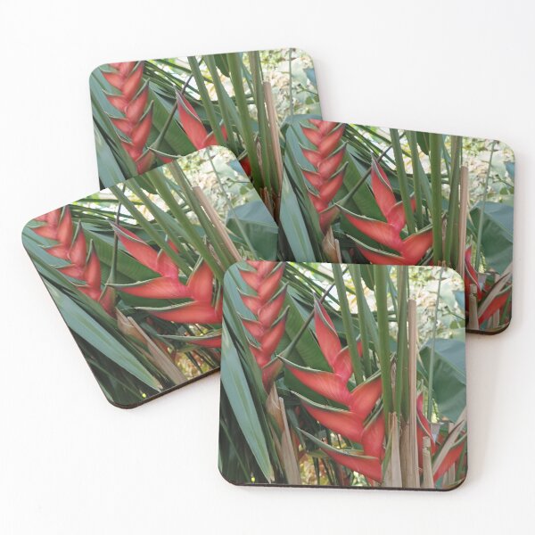 Item preview, Heliconia, Heliconias,Tropical Flower, Red Flower designed and sold by colorgallery11.