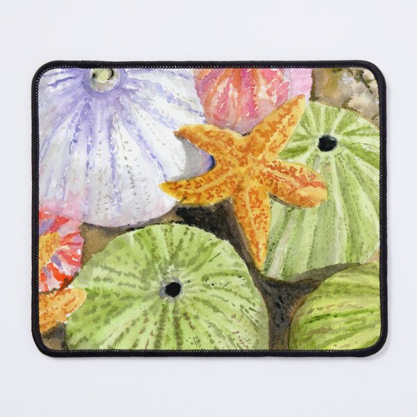 Item preview, sea urchins designed and sold by Artbydekloe.