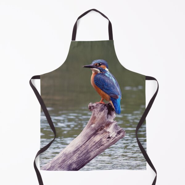 Item preview, Kingfisher designed and sold by Tom McPherson Photography.