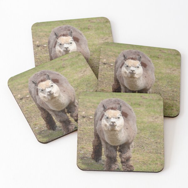 Item preview, Inquisitive Alpaca designed and sold by GingerMan2550.