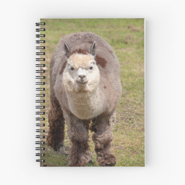 Item preview, Inquisitive Alpaca designed and sold by GingerMan2550.