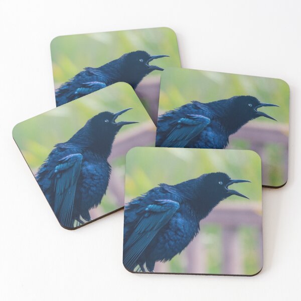 Item preview, Loud Mouth Grackle designed and sold by Debra Martz.