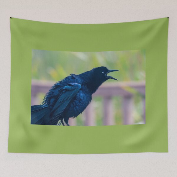 Item preview, Loud Mouth Grackle designed and sold by Debra Martz.