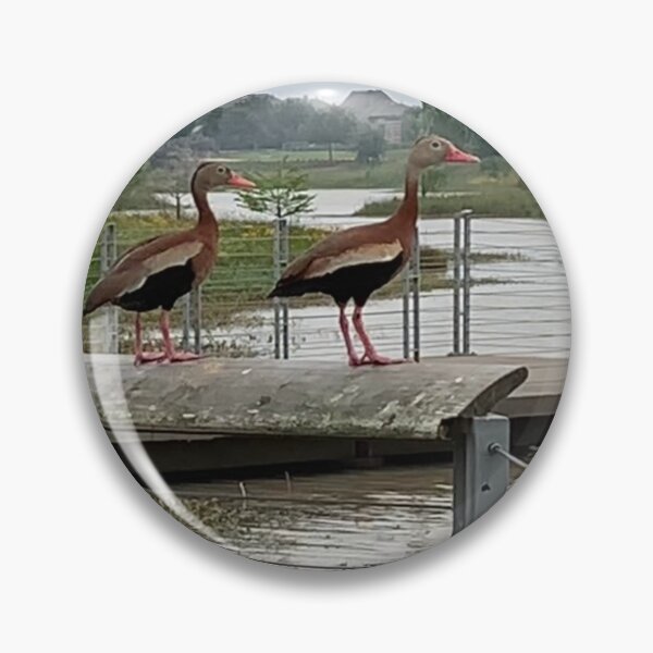 Item preview, Ducks out of water  designed and sold by Nature Photography by Wendi Gordon.