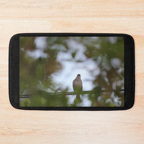 Item preview, Birds in the Backyard designed and sold by Marc Penner.