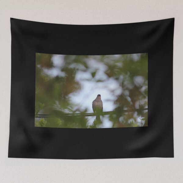 Item preview, Birds in the Backyard designed and sold by Marc Penner.