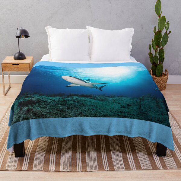 Item preview, Shark designed and sold by KNBS.