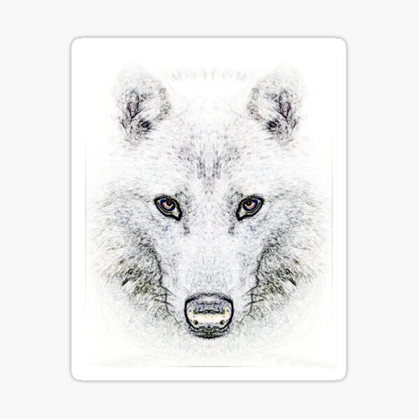 Lobo Blanco Stickers Redbubble