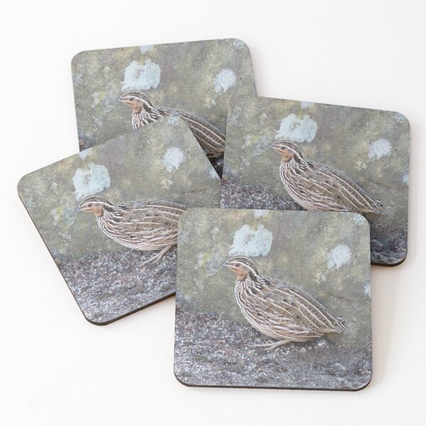 Item preview, A stubble quail hides behind a rock designed and sold by greentiger1.