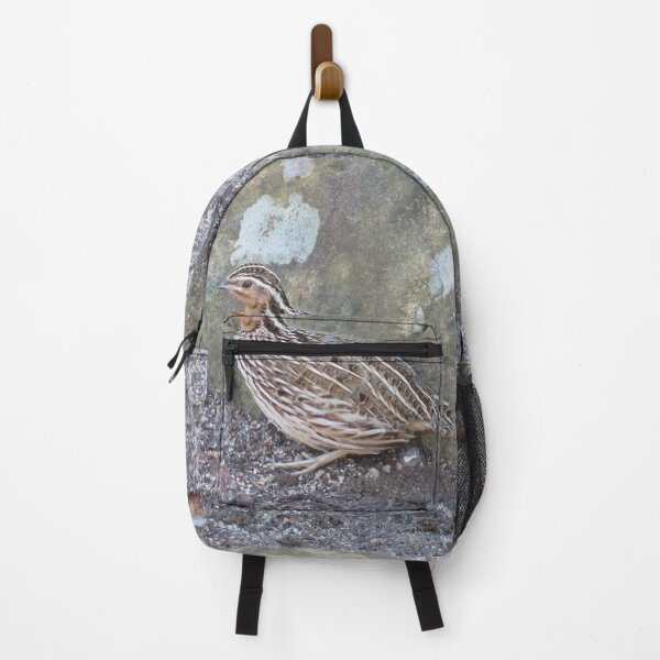 Item preview, A stubble quail hides behind a rock designed and sold by greentiger1.