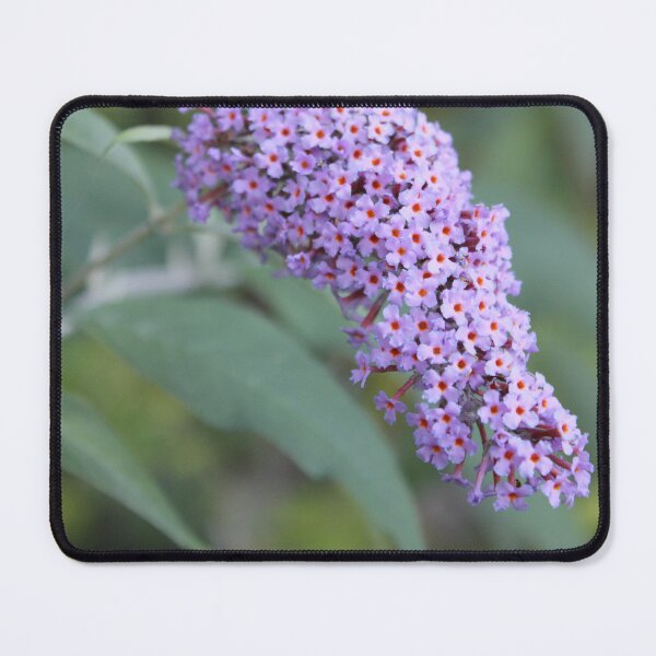 Item preview, Purple Flower Bonanza designed and sold by Marc Penner.