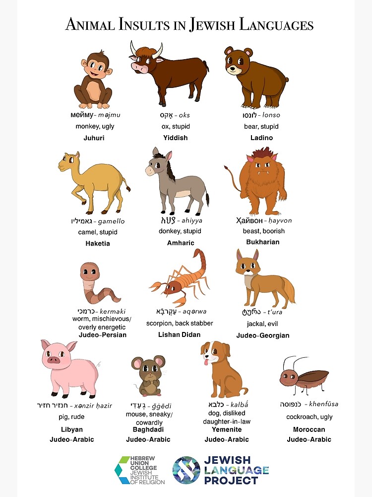 Thumbnail 3 of 3, Poster, Animal Insults in Jewish Languages designed and sold by hucjlp.