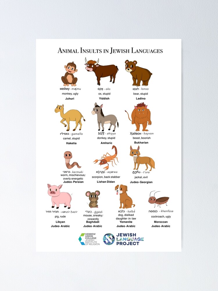 Thumbnail 2 of 3, Poster, Animal Insults in Jewish Languages designed and sold by hucjlp.