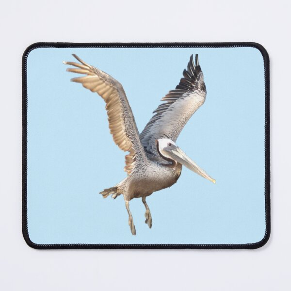 Item preview, Brown Pelican in Flight designed and sold by JoyousArt4u.